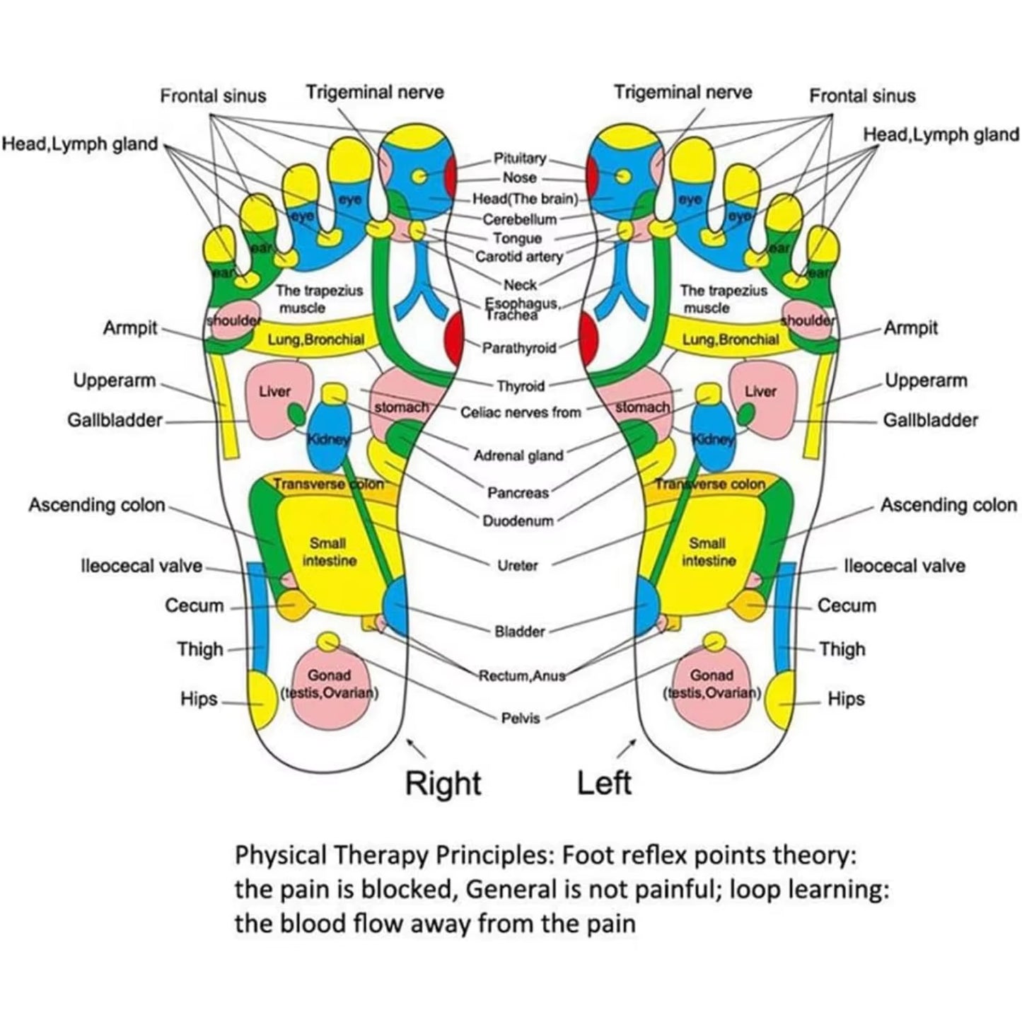 Acupressure Pad Foot Reflexology Massage Pad Health Care Walking Foot Pressure Pad Reflexology Massage Pad Foot Massager